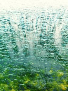 Riflessi sull