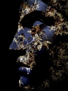 Profilo botanico di Serene da Angelo Cerantola