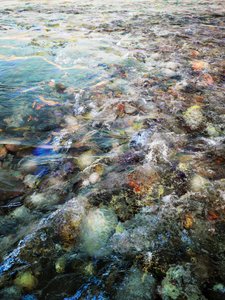 Il vivace scorrere del fiume da Angelo Cerantola