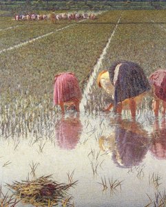 Per ottanta centesimi, dettaglio