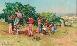 Vendemmia in Toscana da Angiolo Tommasi