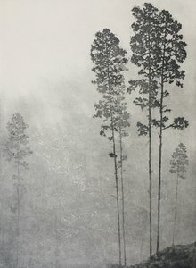 Foglie battono, ali frusciano, 2021