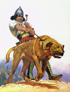 Cane da battaglia assiro (litografia a colori)