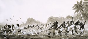 Gli indigeni dei Caraibi usano le reti per la pesca a strascico da Angus McBride