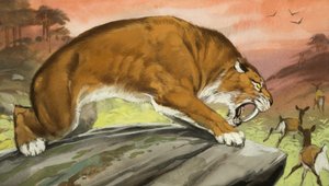 Tigre dai denti a sciabola a caccia da Angus McBride