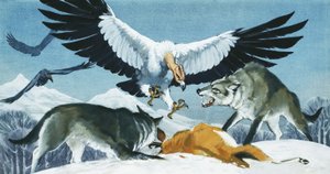 Teratornis da Angus McBride