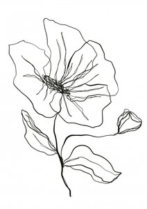 Delicato schizzo di un fiore