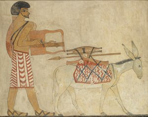 Copia di pittura murale, tomba privata 3 di Khnumhotpe III, Beni Hasan da Anna