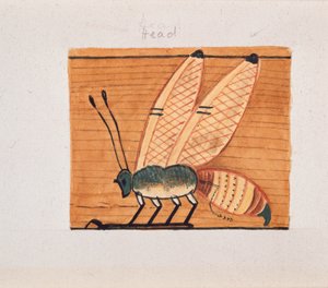 Copia di pittura murale, tomba di Mentuhotpe, Tebe, XX secolo da Anna