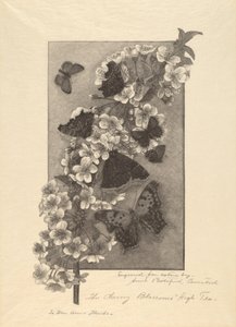 I Fiori di Ciliegio - Tè delle Cinque