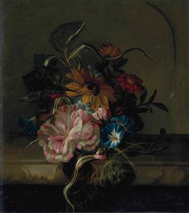 Girasole, convolvolo e tulipano bicolore