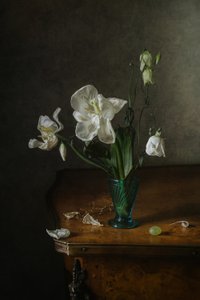 Elegante natura morta floreale da Anna Petina