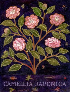  da Anna Pugh