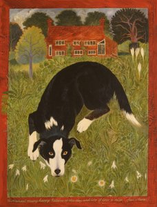 Cane Collie (acrilico)