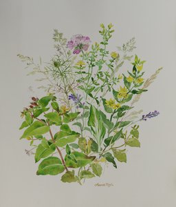Natura morta di fiori 4, 2021 (pittura) da Anna Pugh