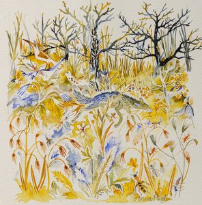 Volpe nel bosco, 2023 (acquerello)