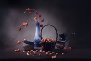  da Anna Qu