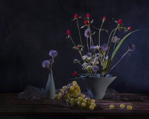  da Anna Qu