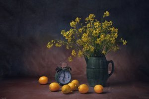 Natura morta con limoni e fiori da Anna Wan