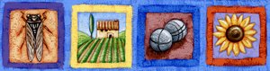 Provenza (dettaglio)
