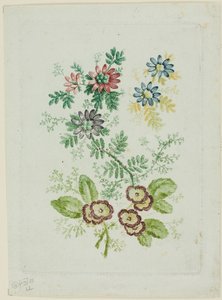Fiori da Anne Allen