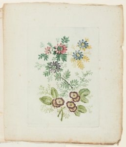 Piatto, dalla Nuova Suite di Taccuini di Fiori Ideali per l