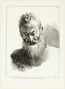 Testa dell