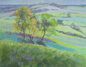 Verso Winchelsea, Sussex, con Campanule in Primavera da Anne Durham