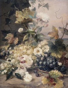 Rose e uva