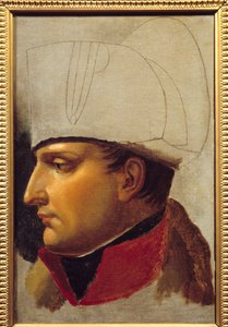 Ritratto di Napoleone I, studio per la consegna delle chiavi della città di Vienna il 13 novembre da Anne Louis Girodet de Roucy Trioson
