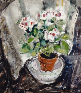 Pelargonio da Anne Redpath