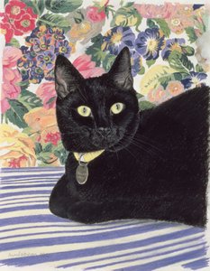 Gatto nero da Anne Robinson