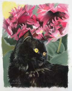 Tulipani neri da Anne Robinson