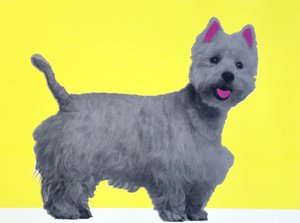 Bestie Westie