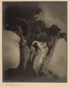 Il cuore della tempesta da Anne W. Brigman