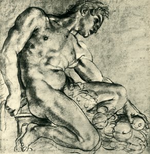 Un Ignudo seduto con una ghirlanda, 1598-1599 da Annibale Carracci