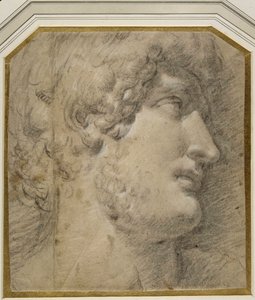 Testa dell