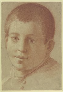 Ritratto di un ragazzo da Annibale Carracci