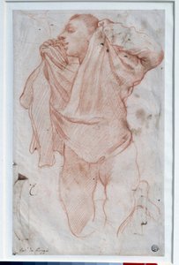 Giovane ragazzo che si toglie la camicia da Annibale Carracci