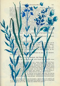 Fiori blu - Testo antico da Annick