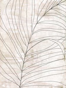 Linee botaniche minimaliste da Annick