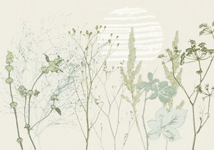 Alba botanica dai toni tenui da Annick