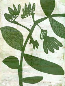 Prodotti botanici biologici
