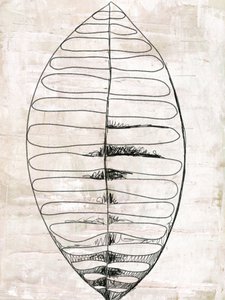 Disegni al tratto di foglie biologiche