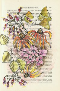 Studio botanico d