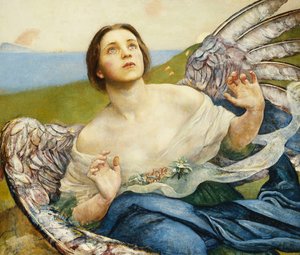 Il senso della vista