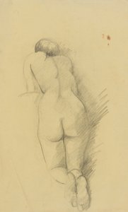 Nudo femminile inginocchiato di schiena