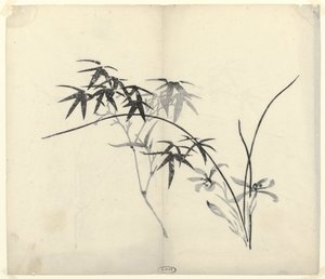 Bambù e Orchidee da Anonymous