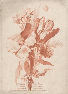 Fiori (serie: 4e Cahier de Fleurs) da Anonymous