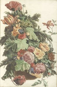 Fiori e foglie in un vaso